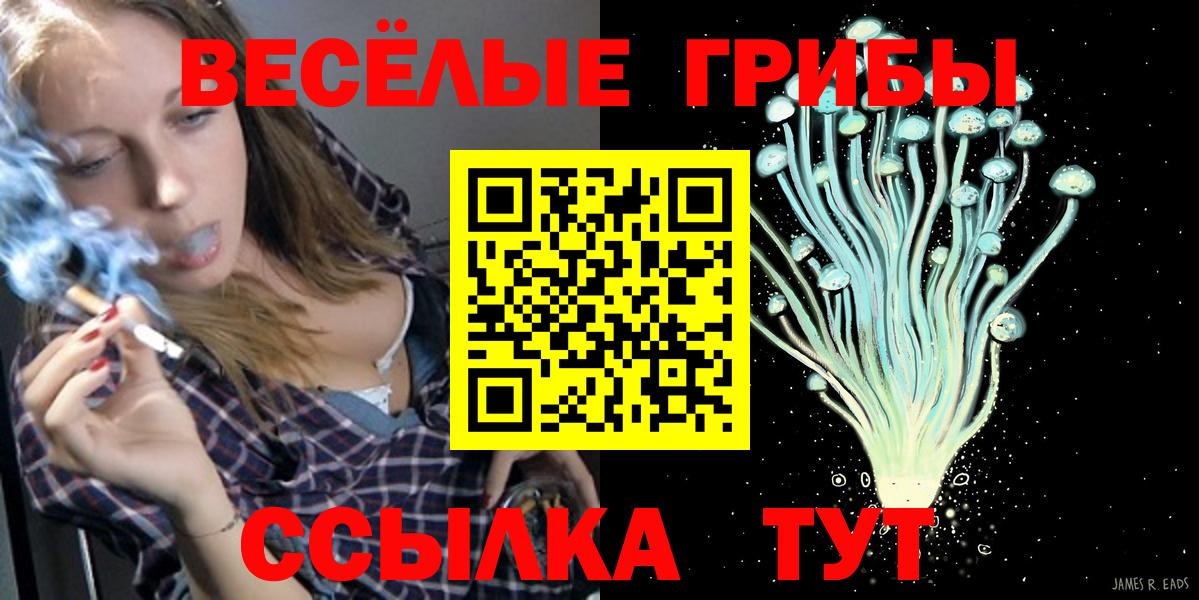 Псилоцибиновые грибы прущие грибы Первоуральск